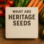 What Are Heritage Seeds
